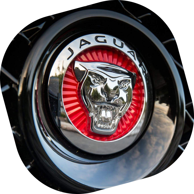 JAGUAR